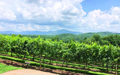 Road Trip: North Georgia Wineries