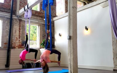 Small Biz Spotlight: ToLife! Yoga and Pilates