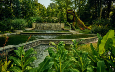 Day Trip: Atlanta Botanical Garden
