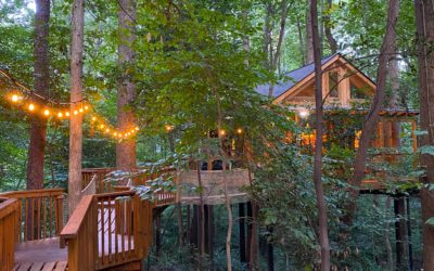 Never Have I Ever…Stayed in a Tree House