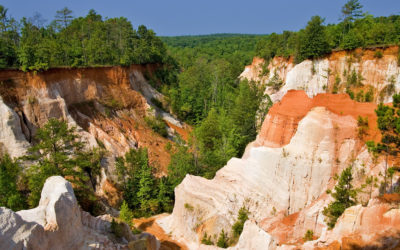 Road Trip: Providence Canyon State Park