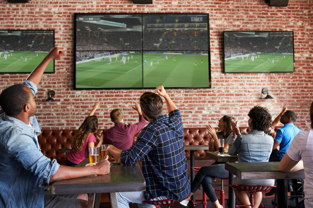 Sports fans cheering for team on television screen