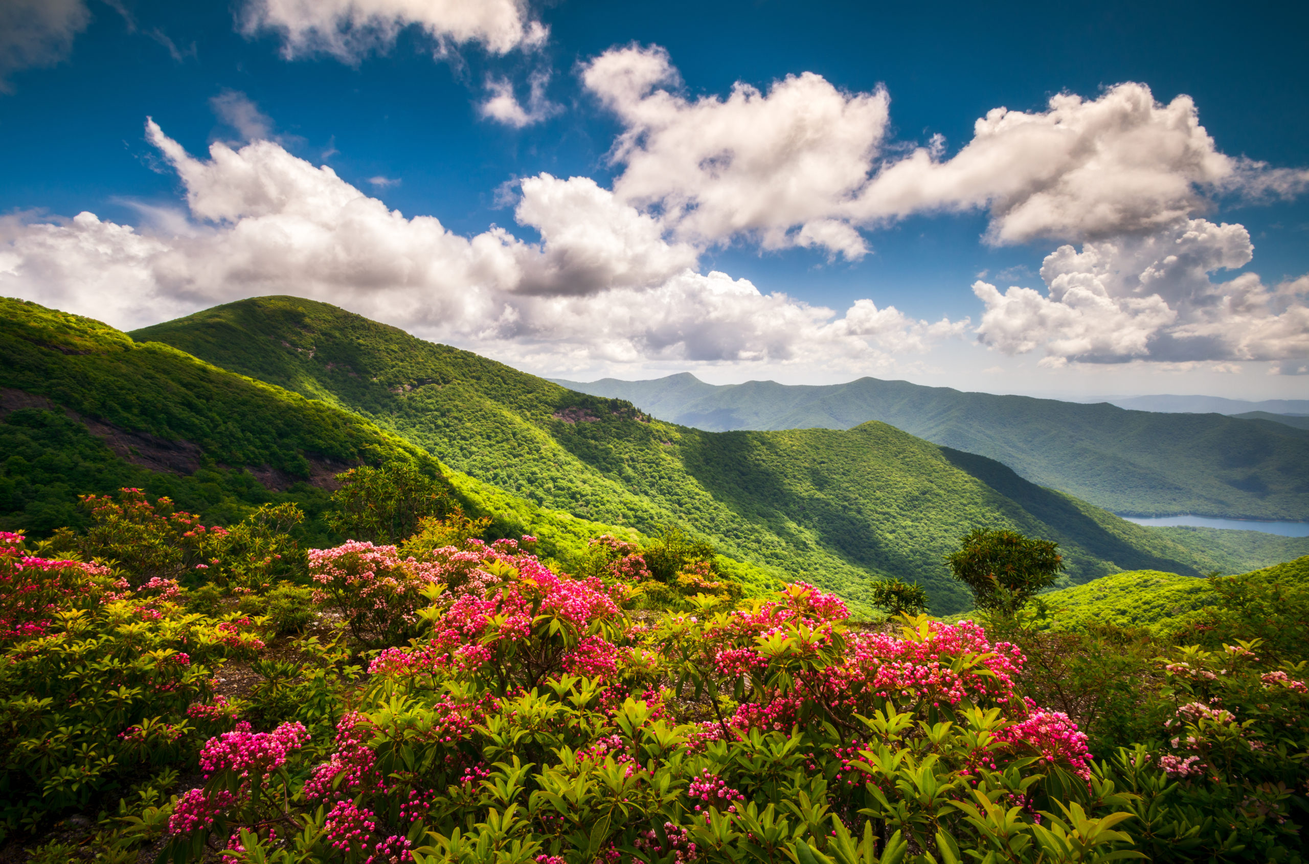 Craggy Gardens Overlook