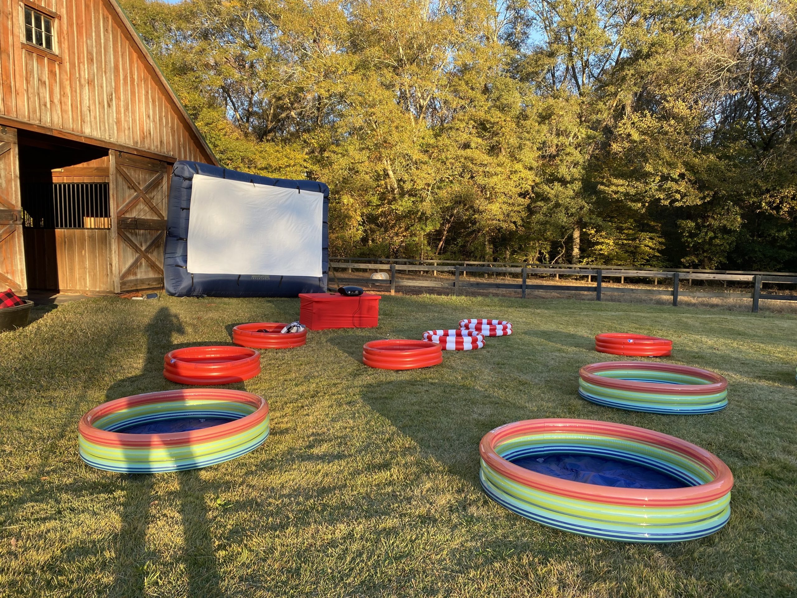 Backyard set up for movie night