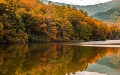 Fall in Love with Georgia: Your Guide to the Best Leaf-Viewing Spots