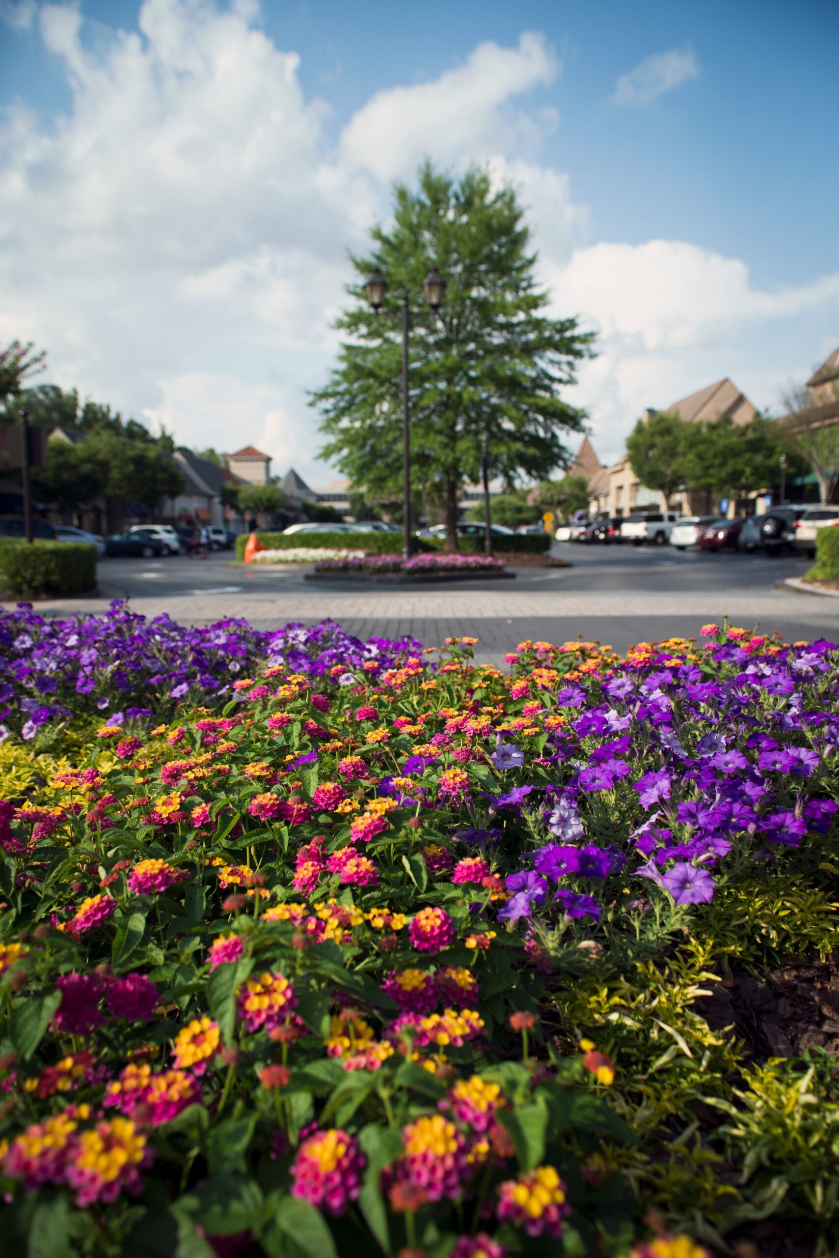 Summer Fun Starts in Peachtree Corners