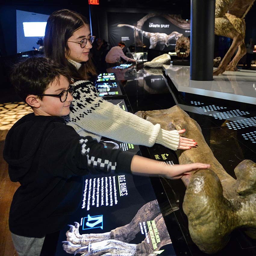 Image of two young kids at the T.Rex : The Ultimate Predator exhibit