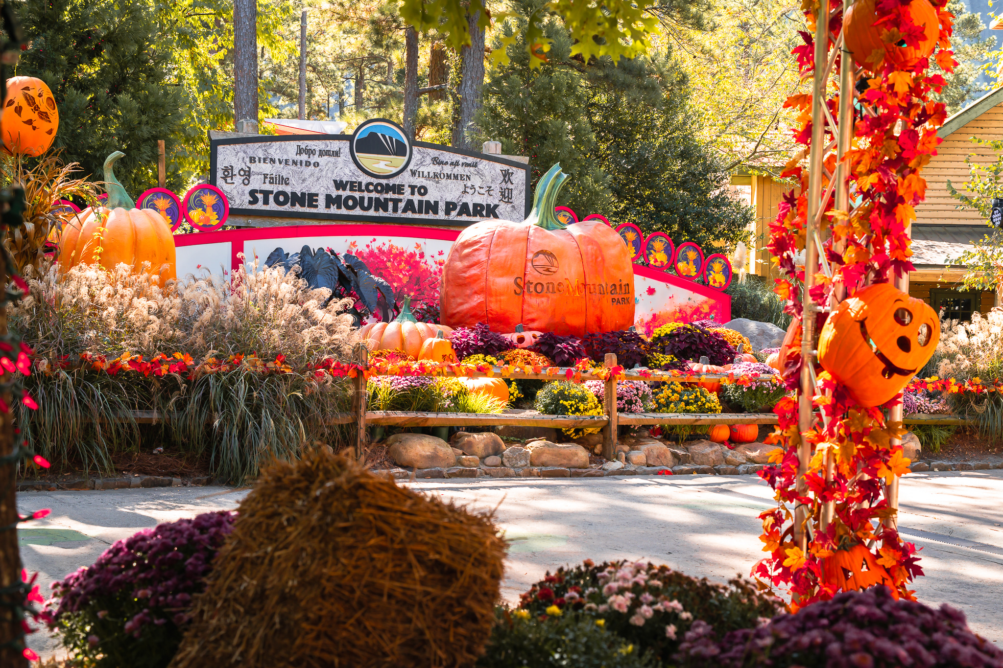 Pumpkins, Hayrides and Hauntings Oh My!
