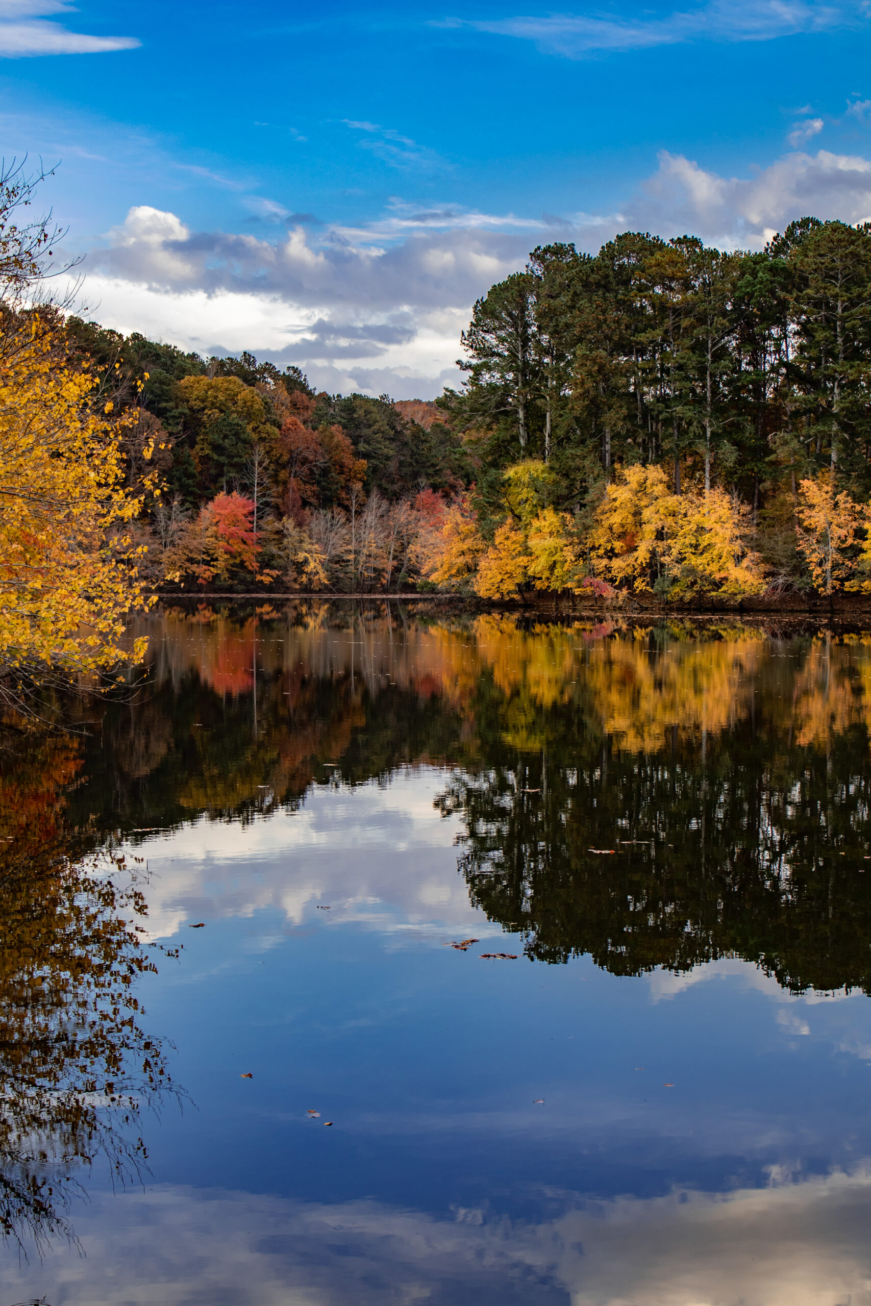 Leaf Your Stress Behind