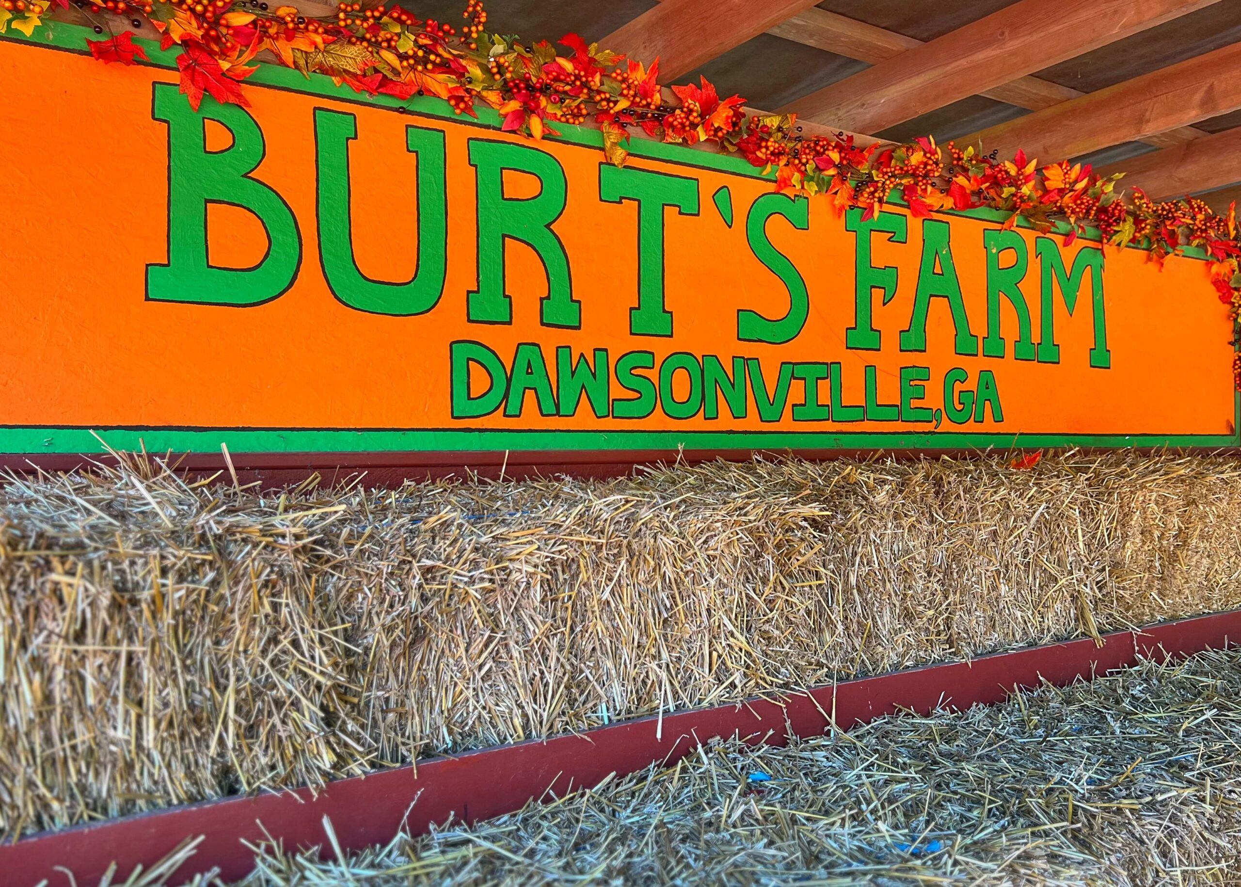 Burt’s Pumpkin Farm