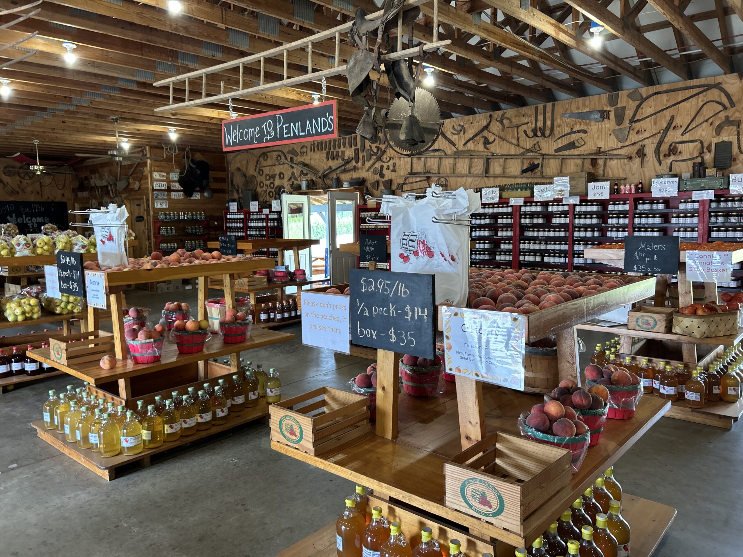 Grab & Go: Apple Picking in Ellijay
